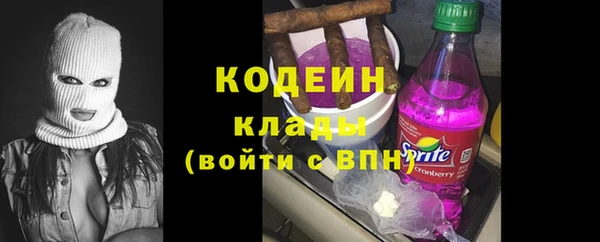 дурь Алексин