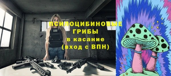 дурь Алексин