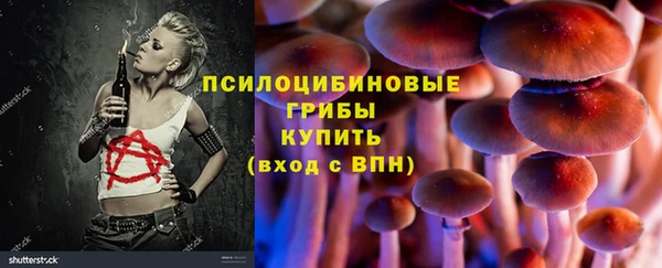 spice Алексеевка