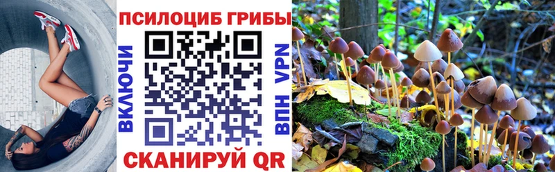 мориарти какой сайт  Биробиджан  Псилоцибиновые грибы ЛСД  ОМГ ОМГ ONION 