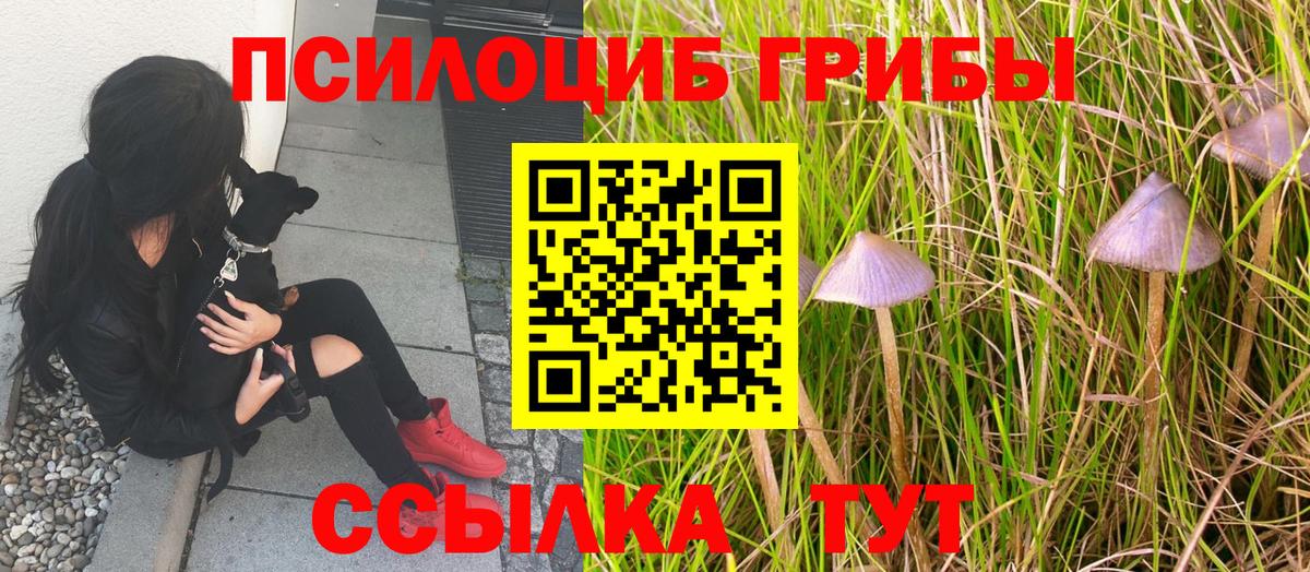 Галлюциногенные грибы MAGIC MUSHROOMS Биробиджан